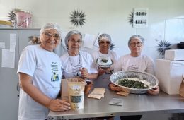 Do quintal ao próprio negócio: Josefa transforma saberes das mulheres da família em autonomia