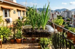 Horta em pequenos espaços: como começar a cultivar temperos em casa